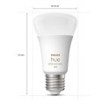 Philips Hue WCA 6,5W A60 E27 opakowanie 4 sztuki Philips Hue | Hue WCA 6,5W A60 E27, opakowanie 4 sztuki | E27 | 6,5 W | RGBW 20