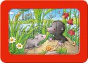 Ravensburger Małe Zwierzęta Domowe 05138