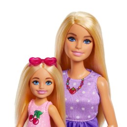 Barbie Family & Friends JBF43