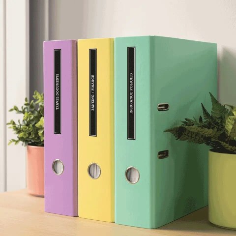 Brother PT-N20 Desktop labelling machine, Btag 12 mm