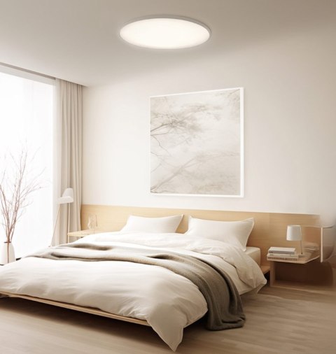 Xiaomi Smart Ceiling Light D30 | 30 W
