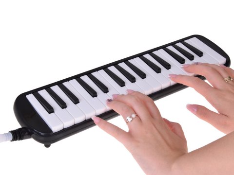 Instrument muzyczny Melodyka Harmonijka klawiszowa etui dwa ustniki IN0175 Instrument muzyczny Melodyka Harmonijka klawiszowa etui dwa ustniki IN0175